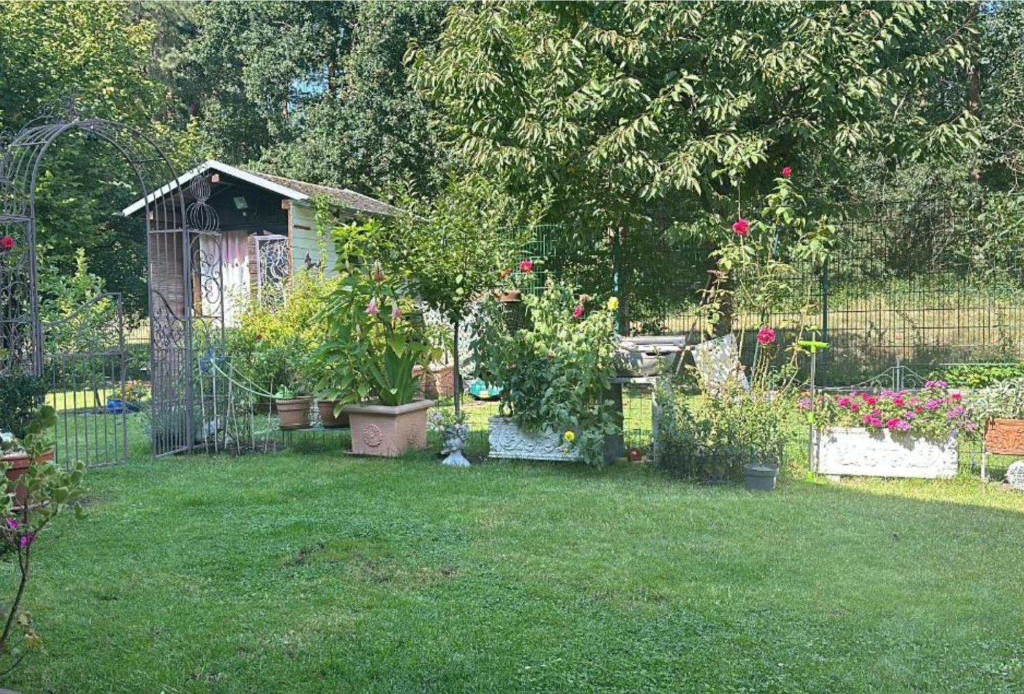 Grosse Helle Wohnung Am Wald In Bad Saarow Nahe Gruenheide Und Berlin Souterrain ภายนอก รูปภาพ